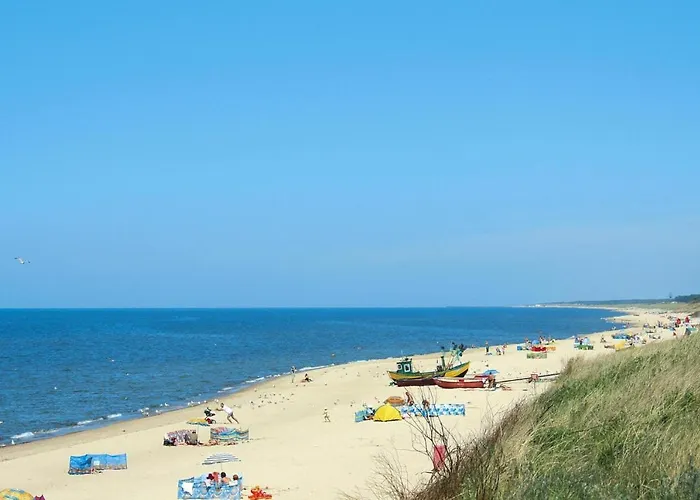 Homes Near The Lake, Mini Zoo